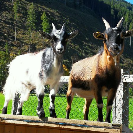 Apartament Sattlehnerhof Ramsau am Dachstein Zewnętrze zdjęcie