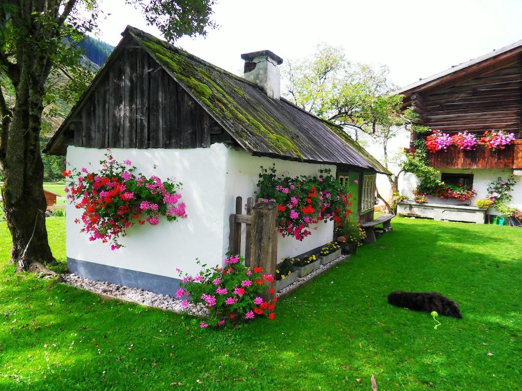 Apartament Sattlehnerhof Ramsau am Dachstein Zewnętrze zdjęcie